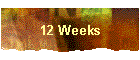 12 Weeks