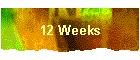 12 Weeks
