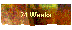 24 Weeks