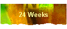 24 Weeks